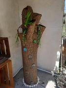 Top San Giovanni la Punta