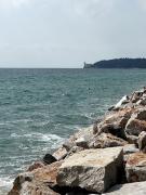 Top Trieste Top Trieste