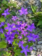 Top Zagórze Śląskie Top Zagórze Śląskie