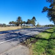 Entre Palmeras y Lavandas