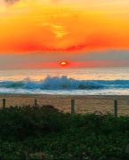 Top Balneário Camboriú