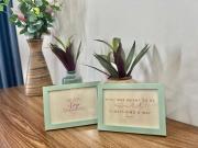 Top Thôn Văn Dương