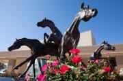 Top College Station