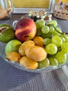 Top Magliano in Toscana