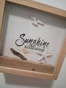 Top Misano Adriatico