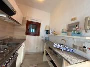 Top Capo Coda Cavallo