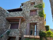 Top Capo Coda Cavallo