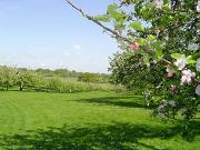 Top Peasmarsh