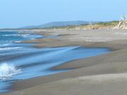 Top Nunziatella Top Nunziatella