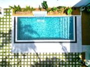 Bluelip Ceylon Weligama