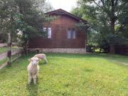 Cottage by the Ponds