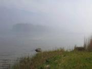 Top Björkenäs Top Björkenäs