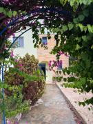 Top Paphos City