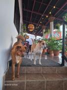 Top Concepción de Ataco