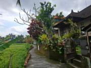 Rumah Nyoman