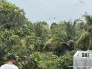 Top Velankanni