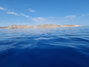 Top Zipárion Top Zipárion