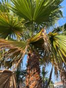 Top La Teste-de-Buch