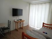 1BR Condo at The Loop