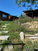 Top Băile Olăneşti