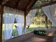 Top Niemce Top Niemce