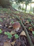 Top Stronie Śląskie Top Stronie Śląskie