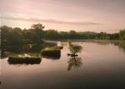 Top Cournon-dʼAuvergne