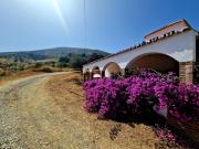 Top Almogía Top Almogía