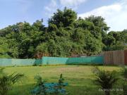 the falcon eco resort