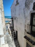 Top Rodi Garganico Top Rodi Garganico