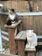 Top Degnbøl Top Degnbøl