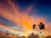 Renaissance Villa Bentota