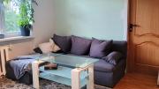 Comfortable Apartment in Tallinn Pet-Friendly, Self Check-in