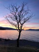 Brekkestranda Fjordhotel