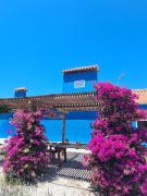 CasAzul Slow Stay in Nature