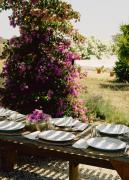 CasAzul Slow Stay in Nature