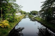 Top Alleppey