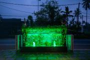 Top Alleppey