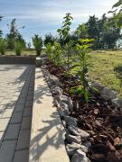 Top Kráľovský Chlmec