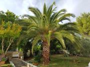 Villa Rosa with yard and childrens playground