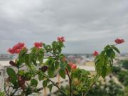 Top Chennai