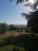 Top Gioiella