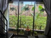 Top Phong Nha Top Phong Nha