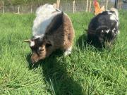 Séjour chez Cécile