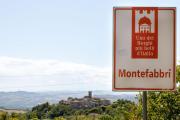 Italian Experience-La Pineta Holiday Homes