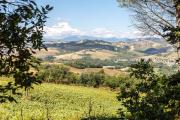 Top Monte Fabbri