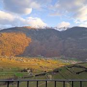 Top Tresivio Top Tresivio