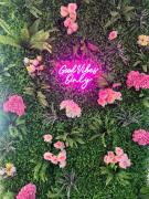 Stevenson apartment - Murrayfield