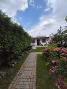 Top Wilkasy Top Wilkasy