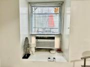 Top Roosevelt Island